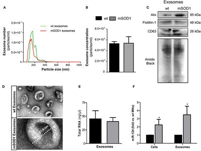 Exosomes from NSC-34 Cells Transfected with hSOD1-G93A Are Enriched in miR-124 and Drive Alterations in Microglia Phenotype